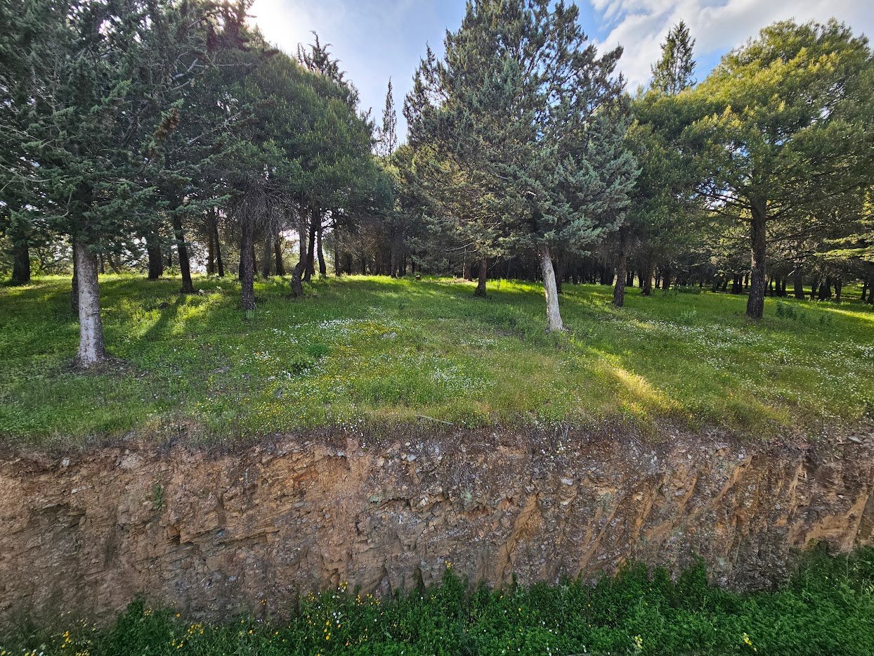 Bosque de Despeñaperros